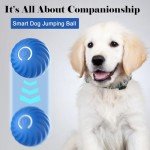 Interactive Automatic Dog Ball Toy, USB Rechargeable