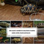 Coconut Fiber Reptile Carpet Mat for Terrariums