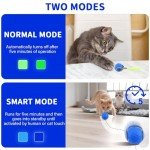 LUPAPA Interactive Feather Cat Ball Toy – Blue