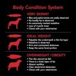 Supercoat SmartBlend Chicken Dry Dog Food 18kg