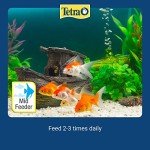 Tetra Goldfish Color Granules Fish Food 100g