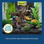 Tetra Goldfish Color Granules Fish Food 100g