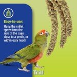 Millet Spray for Birds - 150g Bird Treat