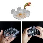 Changyeah Reptile Feeding Dish with Enclosure