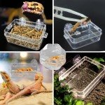 Changyeah Reptile Feeding Dish with Enclosure