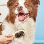Double-Sided Wooden Dog Brush for Grooming