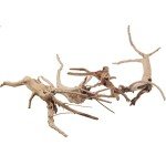 Natural Driftwood Vine Branches for Reptile Aquariums