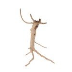 Natural Driftwood Vine Branches for Reptile Aquariums