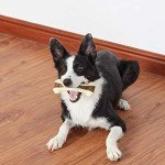 Indestructible Beef Flavor Dog Chew Toys - 2 Pack