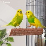 Niteangel Wooden Bird Perch for Parrot Cages