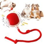 Interactive Motion-Activated Rolling Toy for Cats & Dogs