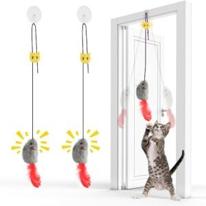 FYNIGO 2-Pack Interactive Squeaky Cat Toys