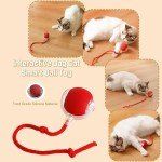 Interactive Motion-Activated Rolling Toy for Cats & Dogs