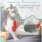 FYNIGO 2-Pack Interactive Squeaky Cat Toys