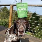 Petz Park Grain-Free Probiotic for Dogs - 45 Servings