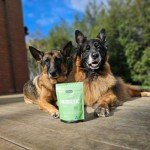 Petz Park Grain-Free Probiotic for Dogs - 45 Servings