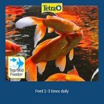 Tetra Goldfish Flakes - Complete Fish Food 100g
