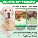 Dog Probiotics Chews for Gut Health & Immunity
