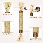 Catnip Chew Sticks 4-Pack for Indoor Cats