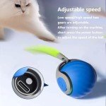 Speedy Tail 2.0 Cat Ball Toy - USB Rechargeable