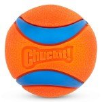 Chuckit! Ultra Ball Small 2-Pack - Orange/Blue