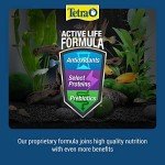 Tetra XL Tropical Color Granules Fish Food 300g