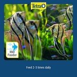 Tetra XL Tropical Color Granules Fish Food 300g