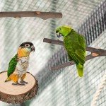 Natural Wood Bird Perches for Parrots and Birds