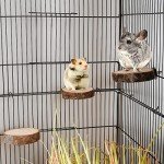 Natural Wood Bird Perches for Parrots and Birds