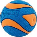 Chuckit! Ultra Squeaker Balls - 2 Pack, Small