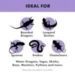 Zilla Reptile Shed-Ease Bath – 3 Pack