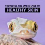 Zilla Reptile Shed-Ease Bath – 3 Pack