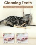 Silvervine Cat Chew Sticks - 6 Pack