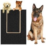 Dog Nail Scratch Pad with Treat Box