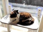 Cozy Foldable Cat Window Hammock Perch 50x30cm