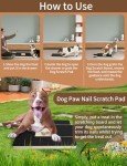 Dog Nail Scratch Pad with Treat Box