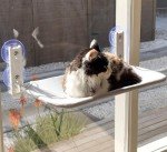 Cozy Foldable Cat Window Hammock Perch 50x30cm