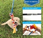 Interactive Flirt Pole Toy for Dog Play Fun
