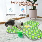 Rechargeable 360° Interactive Cat Toy with Feathers