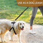 Adjustable 3-in-1 Dog Seat Belt Harness Set