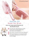 3-in-1 Cat Steam Brush for Grooming & Massage