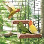 Niteangel Wooden Bird Perch Platform (2 Pack)