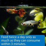 API Tropical Mini Pellets Fish Food, 51g