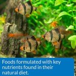 API Tropical Mini Pellets Fish Food, 51g