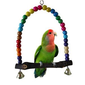 Colorful Wooden Bird Swing for Budgies