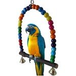 Colorful Wooden Bird Swing for Budgies