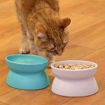 Kitty City Elevated Cat Food and Water Bowl