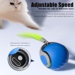 Interactive Cat Ball Toy with Tail for Fun