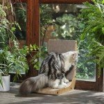 FUKUMARU Wall-Mounted Cat Scratcher with Toy