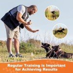 Rechargeable Ultrasonic Anti-Barking Device for Dogs